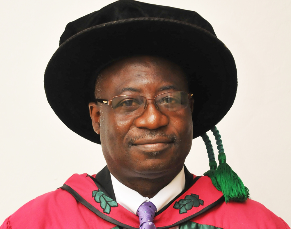 Profile of Professor Yaw Adu-Sarkodie