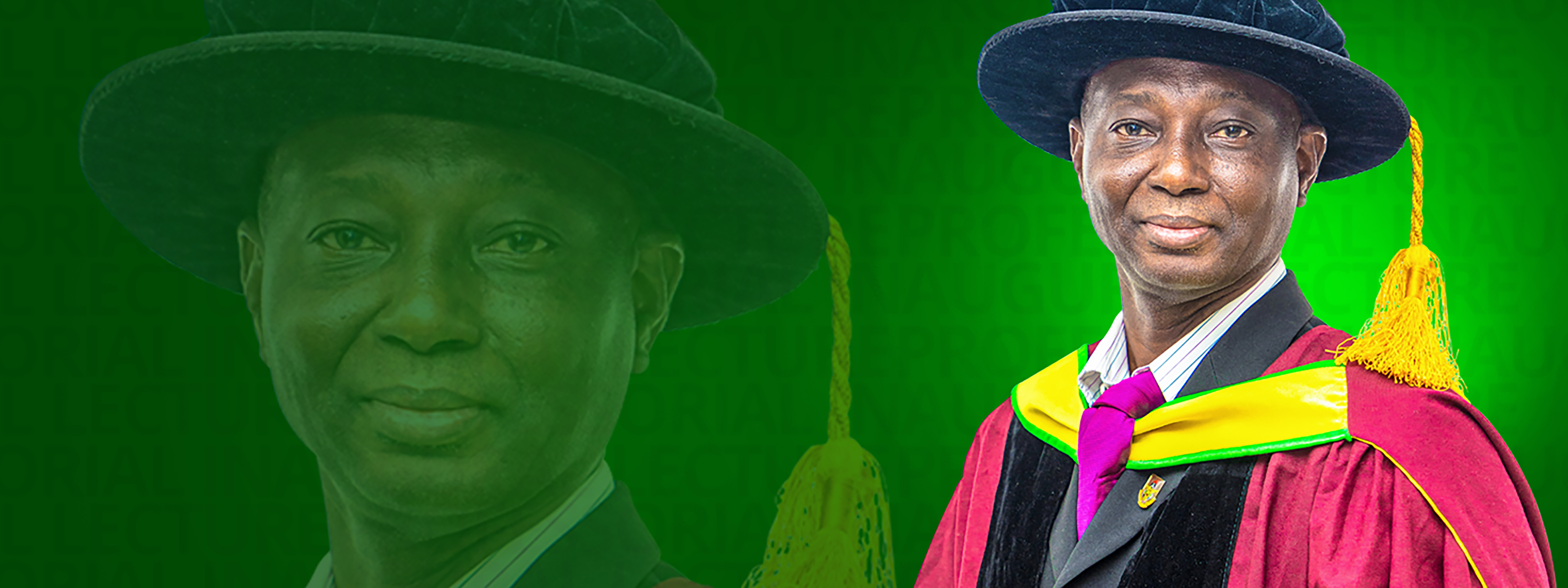 Professor Divine Kwaku Ahadzie