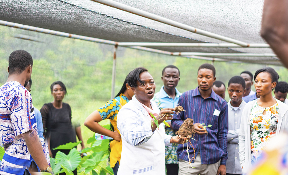 2024 Agritech Challenge
