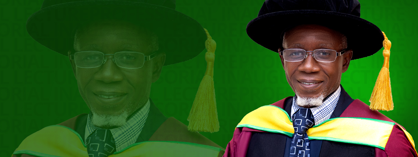 Professor Mohammed Hadrat Yusif