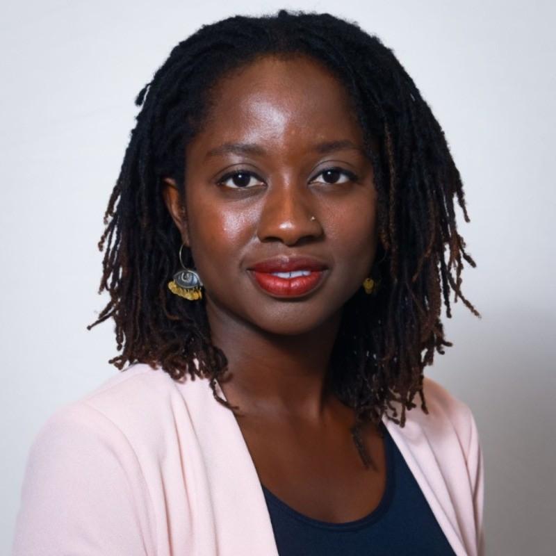 Dr. Mercy Nyamewaa Asiedu