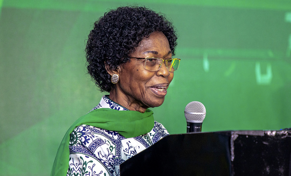 Emerita Professor Isabella Quakyi