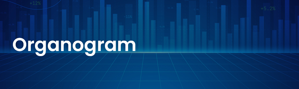 Organogram