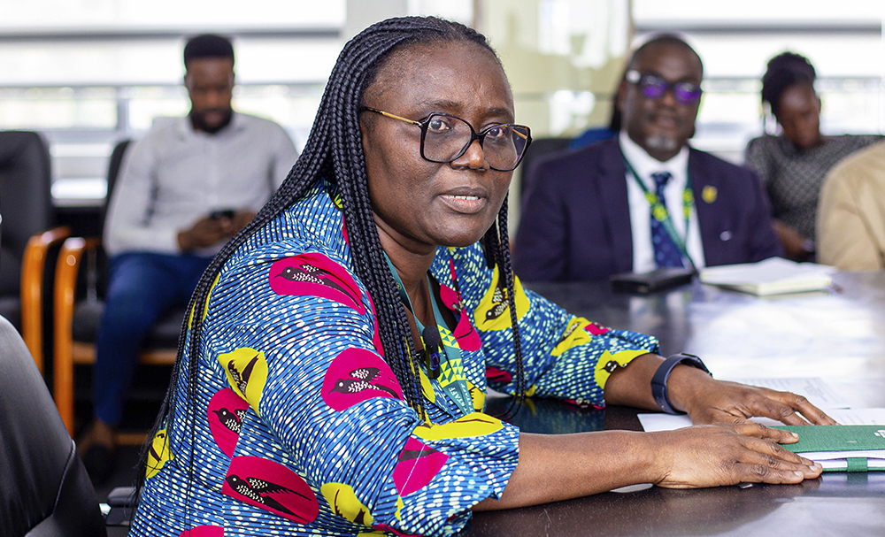 Professor (Mrs.) Rita Akosua Dickson