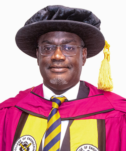 Professor Kwabena Biritwum Nyarko