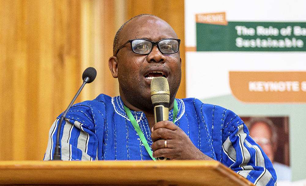 Professor Leonard K. Amekudzi