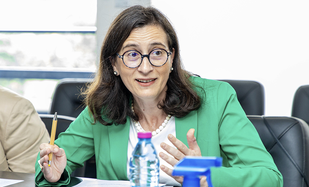 Professor Nil Özçaglar-Toulouse