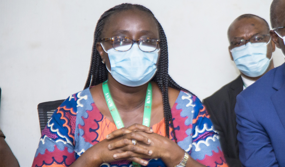 Professor (Mrs). Rita Akosua Dickson