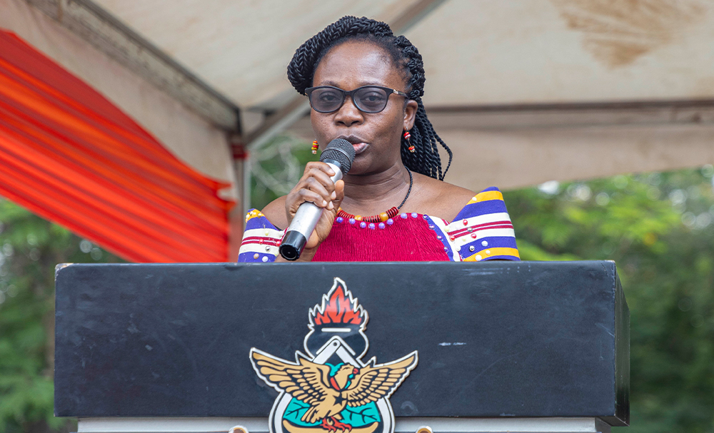 Professor Faustina Wireko-Manu, Head of the Department of Food Science and Technology