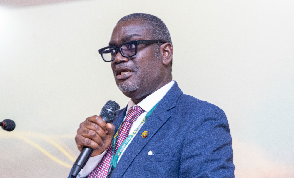 Professor Kwabena Britwum Nyarko, Provost of the College of Engineering