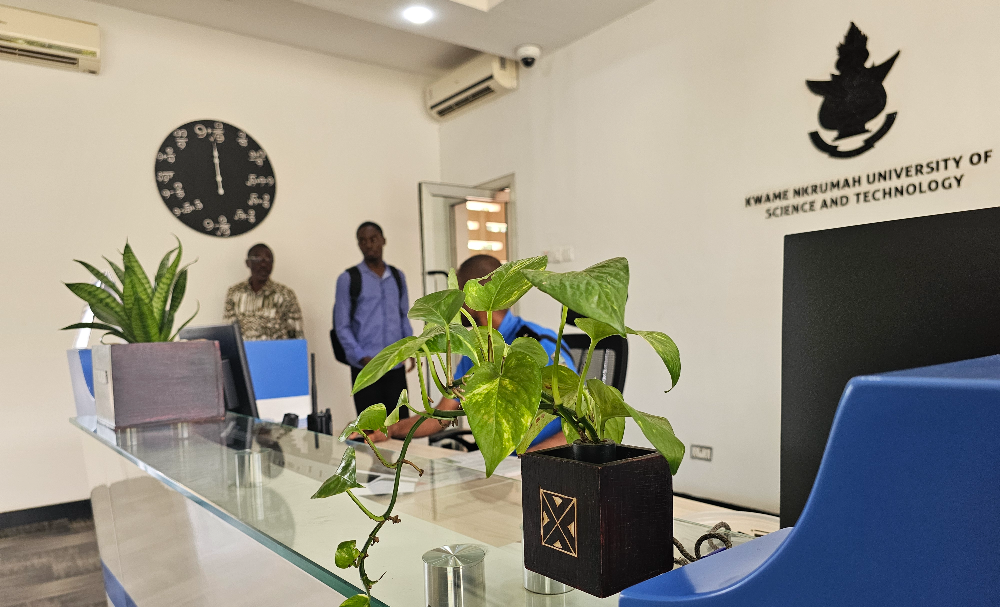 Money plant at the KNUST main administration reception.