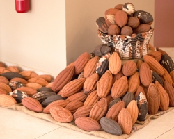 ‘Cocoa is About Ghana’; Mr. Adjei Reveals