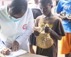Anti-Rabies Vaccination Campaign
