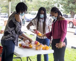 Fresh Food Fair