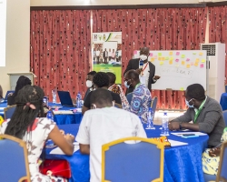 Early Career Researchers’ Training in Grantsmanship